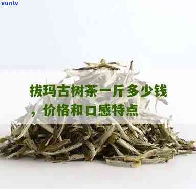 拔玛古树茶口感特点，《探秘“拔玛古树茶”：独特的口感特点解析》