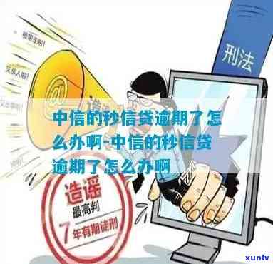 中信信秒贷逾期一周-中信信秒贷逾期一周会怎么样