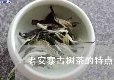 老安寨古树茶的特点是什么，探秘老安寨古树茶：特点解析与品鉴指南