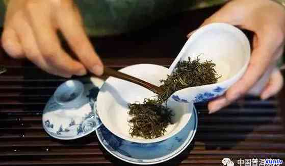 茶叶的冲泡程序中润泡的目的是，润泡：茶叶冲泡程序中的重要步骤与目的解析