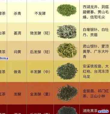 如何准确鉴别茶叶的品质、优劣及等级？