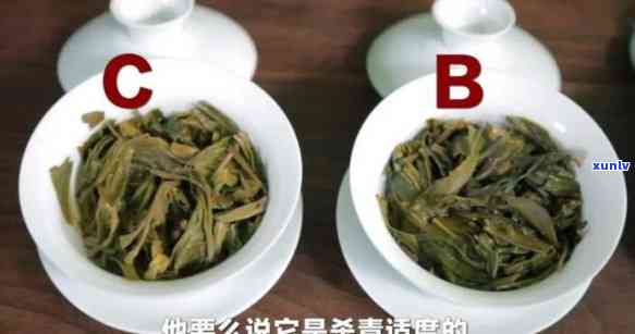 怎样区分茶叶好坏或者优劣等级，如何鉴别茶叶的品质与等级？