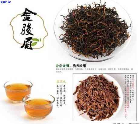 怎么区分茶叶的品质-怎样区分茶叶好坏或者优劣等级