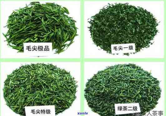 分辨茶叶好坏的 *** ：如何识别崂山绿茶和其他茶叶的质量？