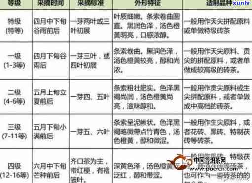 茶叶等级不等于品质标准：解析与应用