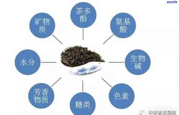 茶叶五大因子的物质有哪些，揭示茶叶五大因子：探索茶叶中的重要物质成分