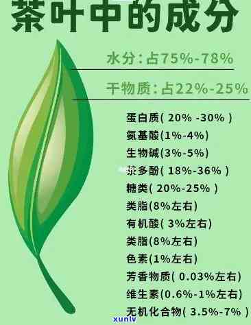 茶叶有几种有害物质是什么，揭示茶叶中的有害物质：你必须知道的几种成分