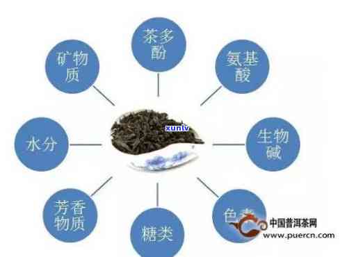 茶多酚占茶叶干物质-茶多酚占茶叶干重的比例有多少