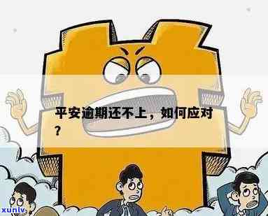 平安易购金逾期不还怎么办，怎样解决平安易购金逾期未还款疑问？