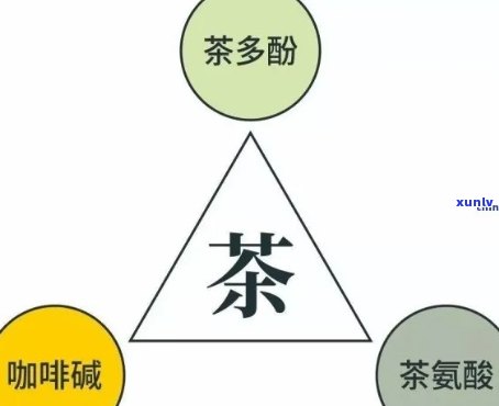 探究茶叶：究竟含有多少种物质组成？