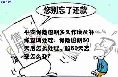 平安保险逾期60天-平安保险逾期60天是工作日还是自然日