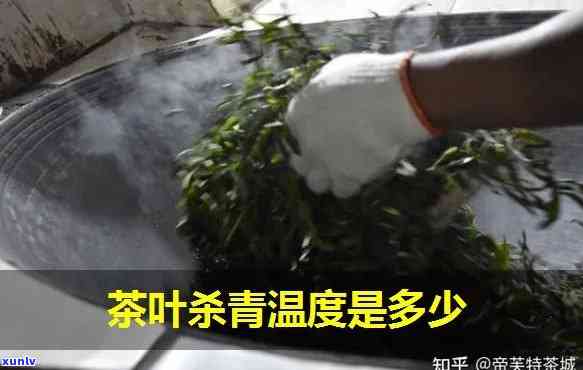 优化茶叶杀青度：控制策略与影响因素分析