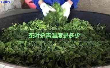 茶叶杀青度是多少，探究茶叶杀青度：影响茶叶品质的关键因素