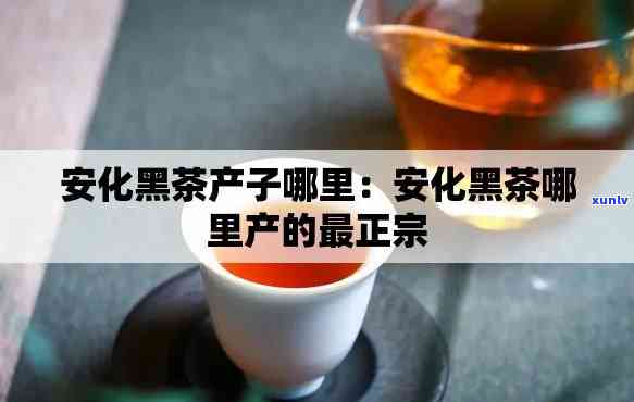 黑水子茶产地在哪里？求解！