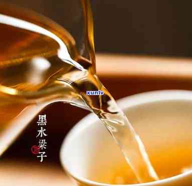 黑水子古树茶特点-黑水子古树茶什么档次