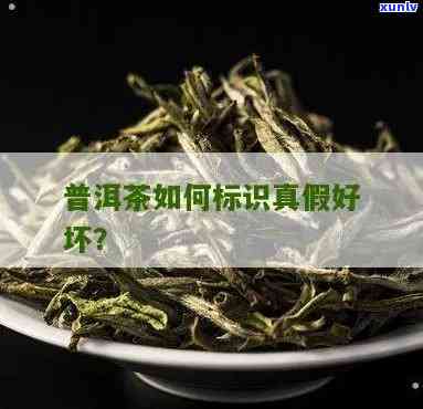 区别真假茶叶的标志-区别真假茶叶的标志是什么