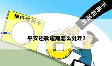 平安逾期几天怎么办理：怎样申请期还款？