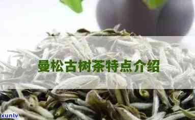 曼松古树茶干茶特点有哪些，揭秘曼松古树茶的干茶特点