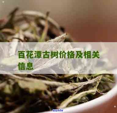 百花潭古树茶特点及价格，探索百花潭古树茶的独特魅力与价值——价格解析