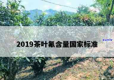 2019茶叶氟含量标准及表