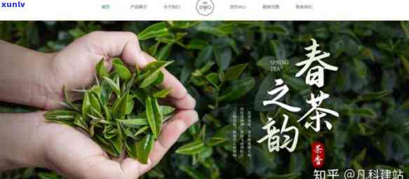 茶叶电商平台的价值有哪些，探究茶叶电商平台的多重价值