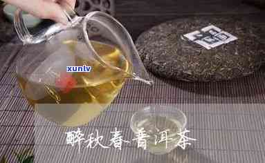 醉春秋的茶怎么样，品鉴醉春秋茶叶：口感如何？值得尝试吗？