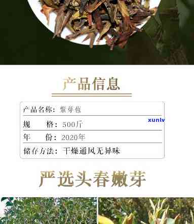 紫芽孢茶价格，揭秘紫芽孢茶的价格：值得投资的健饮品吗？