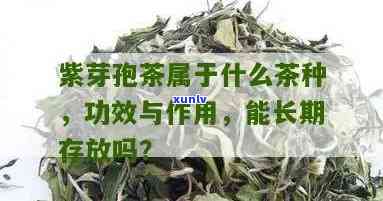 紫芽孢茶有吗，紫芽孢茶是否真的有？探究其安全性