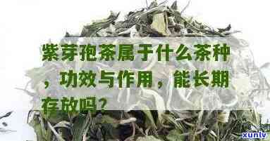 紫芽孢茶冲泡 *** ，「紫芽孢茶冲泡 *** 」：一杯健好茶的正确打开方式