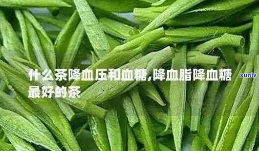 哪种茶叶降血压血脂-哪种茶叶降血压血脂