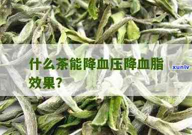 哪种茶叶降血压血脂-哪种茶叶降血压血脂