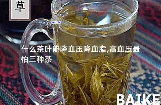 岁月沉淀的普洱茶魅力：十多年的品饮历程与独特风味探索