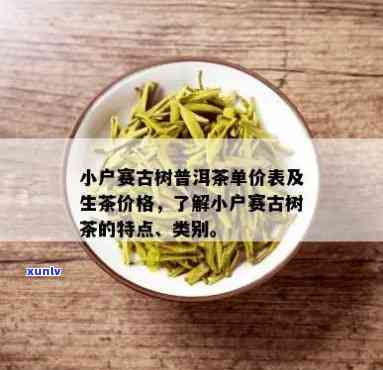 小户赛古树茶价格生茶，探寻古老韵味：小户赛古树茶生茶的价格解析