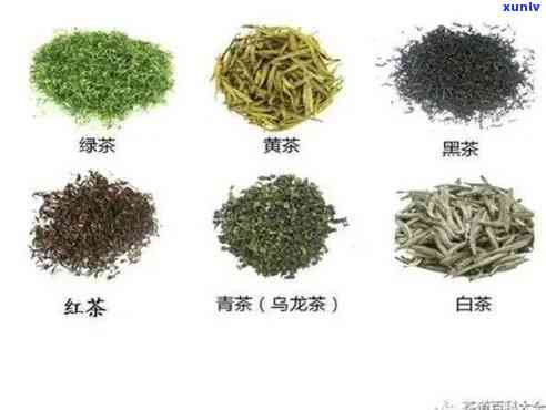 深入解析：茶叶分类及每类茶叶特征