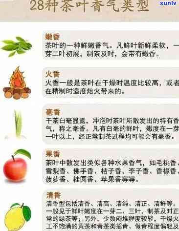 探究各种茶叶的香味特征：它们的独特之处和共性