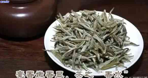 探究各种茶叶的香味特征：它们的独特之处和共性