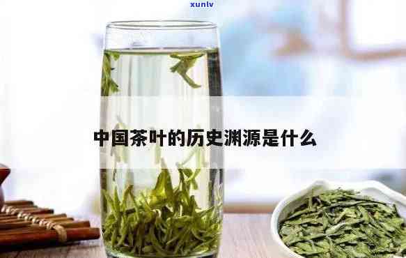 一片茶叶看历，茶叶中的历痕迹：从一片叶子中解读历文化