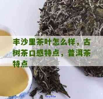 丰沙里茶叶怎么样，探秘丰沙里茶叶：口感、品质与产地的详细介绍