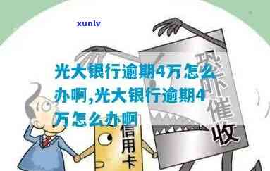 全面解析马料玛瑙的颜色特征及挑选 *** ，解决用户关于马料玛瑙颜色的疑问