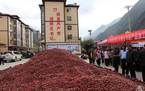 茶叶的目标市场是什么，揭示茶叶的市场定位：茶叶的目标市场究竟是什么？