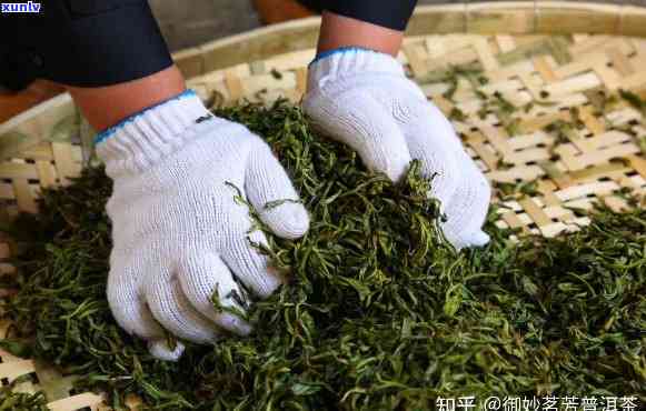 茶叶加工揉捻加压中要注意如下问题，茶叶加工揉捻加压中要注意的问题