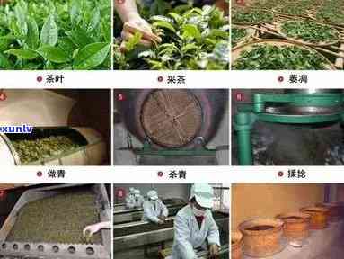 茶叶精制加工工艺的要求及原则全解