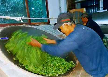 普洱景谷凤山，【寻茶记】走进云南普洱凤山，品鉴景谷古树纯料大叶种的韵味