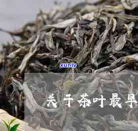 关于茶叶最早的记载-关于茶叶最早的记载是