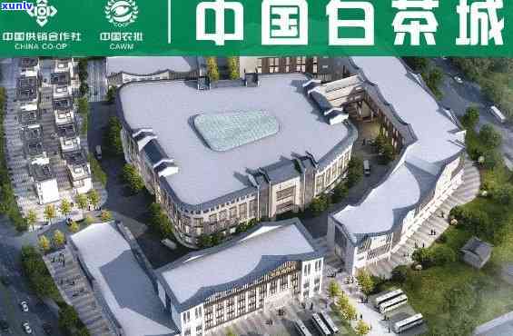 州市茶叶城：中标单位及改造目地点公布