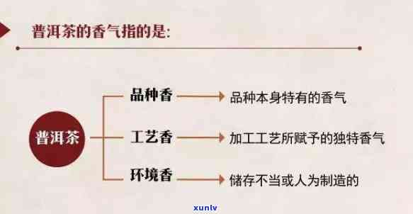 探究茶叶香味的主要来源：全面解析其构成与影响因素