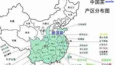 南方茶叶主要产区：分布、特点及重要性