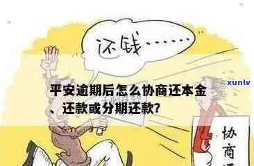 平安易贷逾期协商攻略：怎样还款、还本金？