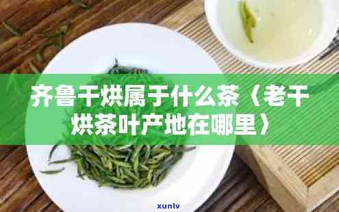 莱芜齐干烘茶叶园-莱芜齐干烘茶叶园地址