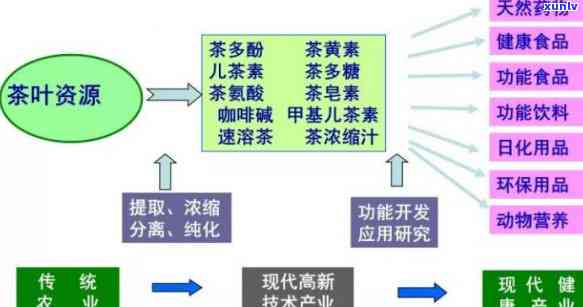 茶叶深加工应用领域包括，探究茶叶深加工在各领域的应用